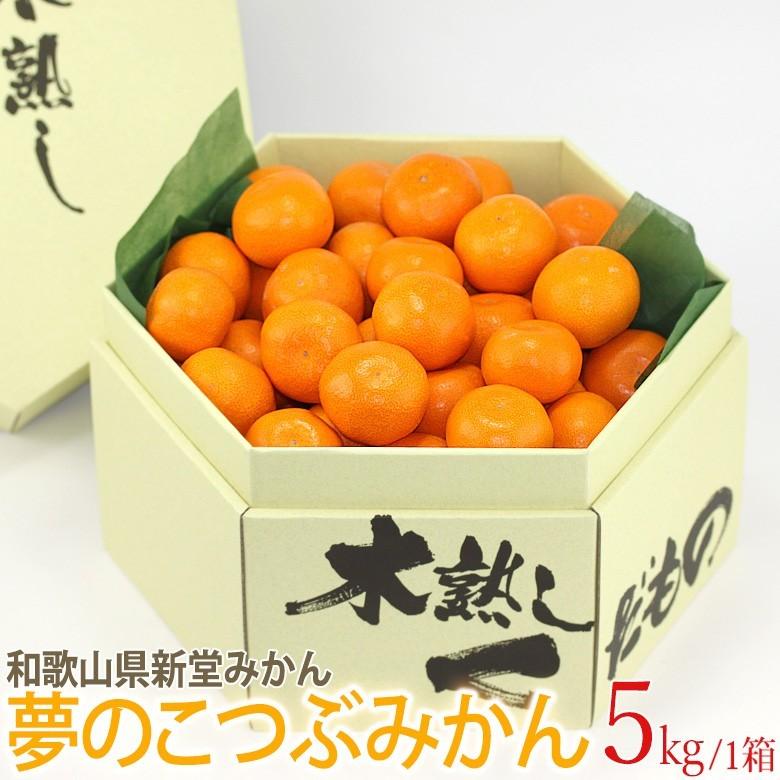 夢のこつぶみかん 5kg