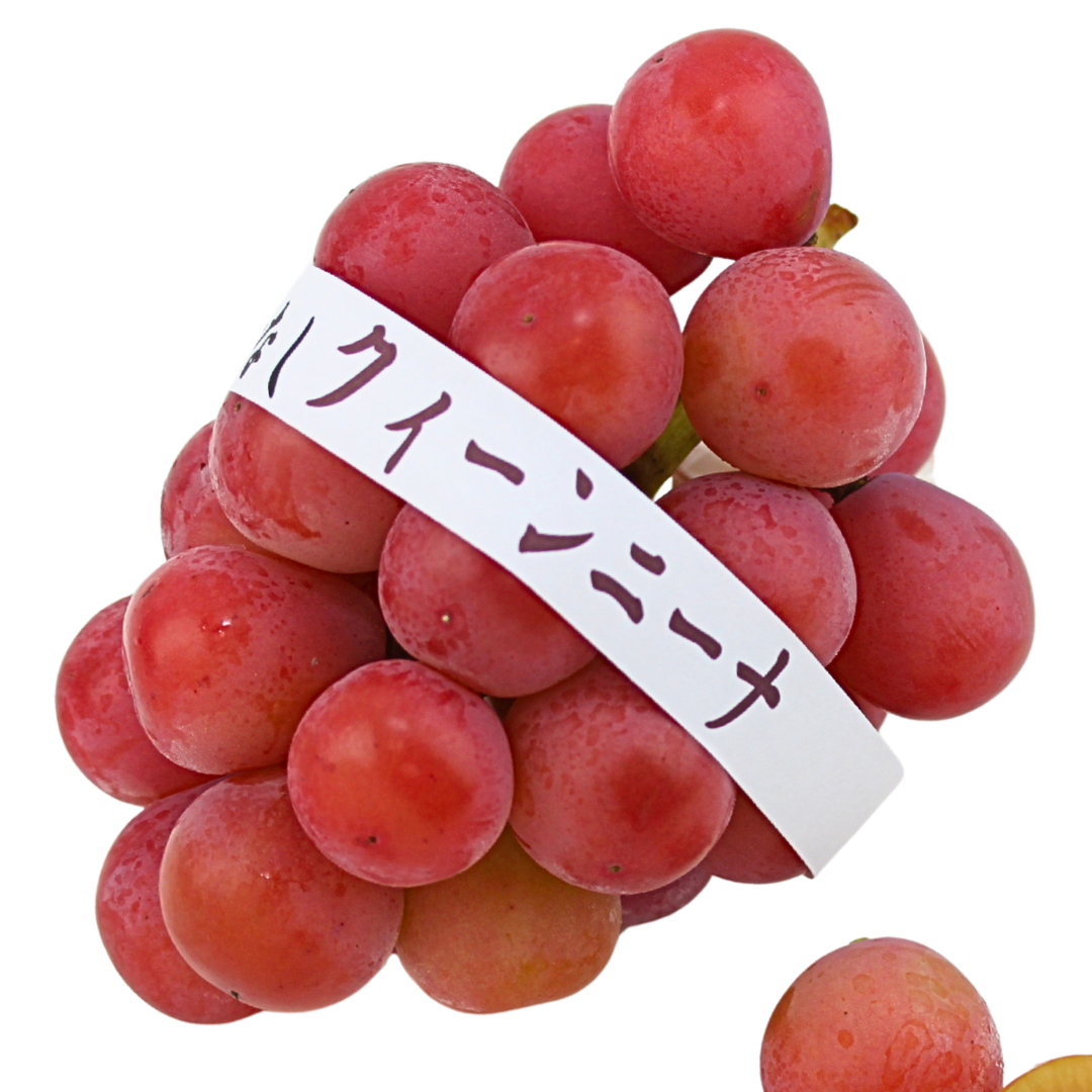 クイーンニーナ