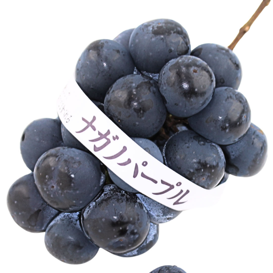 ナガノパープル