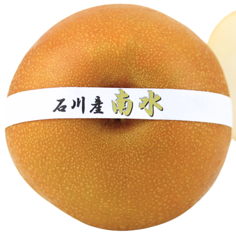 南水梨