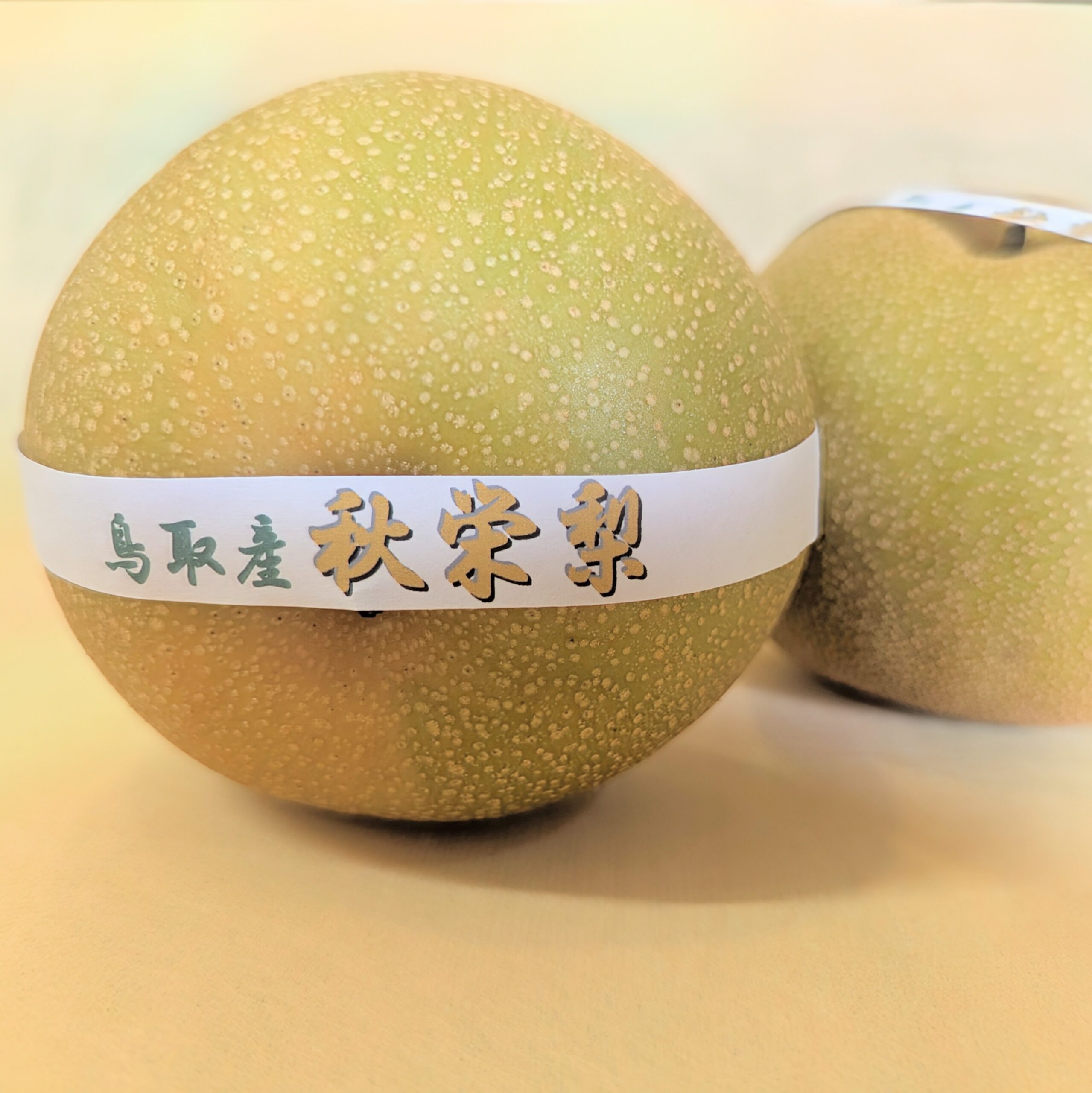 秋栄梨