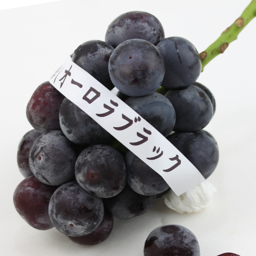 オーロラブラック