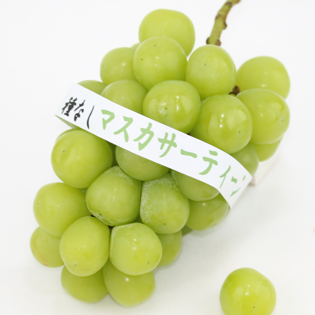 マスカサーテーィン