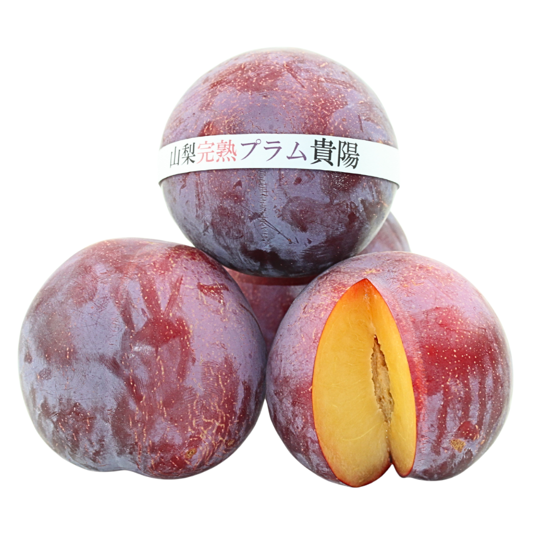 貴陽