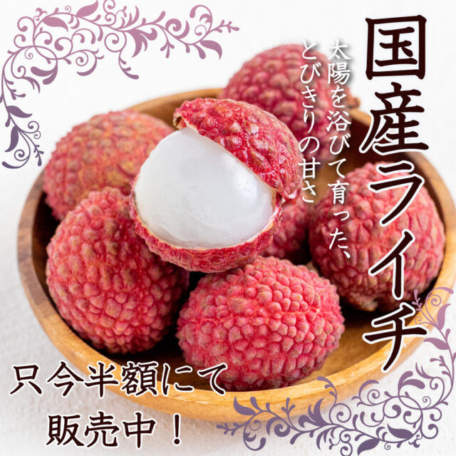 ライチ本来のみずみずしさや美味しさをたっぷり味わっていただける宮崎県産の生ライチです。
    驚くほどの肉厚でフレッシュな香りと濃厚な甘さで、夏にぴったりな生果実です。
    只今 愛の果実 楽天市場店とYahoo店では半額にて販売中です。
    【ライチに含まれる機能性成分】
    ・美肌効果 … 葉酸・ビタミンC・ビタミンB
    ・むくみ防止 … カリウム
    ・シミ防止 … ポリフェノール
    -------------------------
    住所：〒594-0081
    大阪府和泉市葛の葉町3-3-11
    電話番号：0725-51-7586
    -------------------------
    #ライチ
    #国産ライチ
    #レイシ
    #お中元
    #贈り物
    #フルーツギフト
    #季節の果物
    #フルーツボックス
    #フルーツバスケット
    #fruitlover
    #果物
    #フルーツ
    #アオイ農園
    #愛の果実
    #愛の果実 楽天市場店
    #愛の果実 Yahoo店