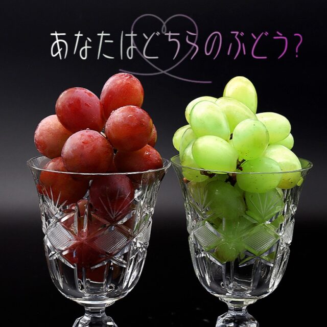 ぶどうの季節です！
    愛の果実ではぶどうの種類が増え始め、贅沢な食べ比べギフトセットをご用意しております。
    お中元、お盆のお供えにいかがでしょうか。
    -------------------------
    住所：〒594-0081
    大阪府和泉市葛の葉町3-3-11
    電話番号：0725-51-7586
    -------------------------
    #ぶどう
    #シャインマスカット
    #贈り物
    #フルーツギフト
    #季節の果物
    #フルーツボックス
    #フルーツバスケット
    #fruitlover
    #果物
    #フルーツ
    #アオイ農園
    #愛の果実
    #愛の果実 楽天市場店
    #愛の果実 Yahoo店