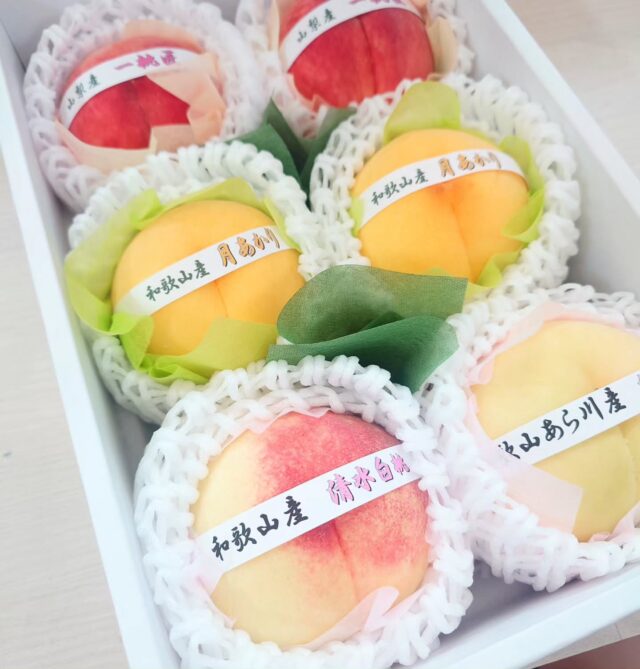 先日企業さまからのご注文での『桃食べ比べ』詰め合わせBOX🍑沢山ご注文いただきました✨
    桃の品種は沢山あります♪
    アオイ農園は季節ごとに色んな組み合わせの贈り物を作る事が得意です✨
    なかなか自分で色んな種類を一度に食べ比べ出来ないと思うので、こんな色々な品種の入った詰め合わせはとても喜ばれると思います。
    真心込めて贈らせていただきました、ありがとうございます🍀
    ーーーーーーーーーーーーーー
    (有)アオイ農園　ぶどうの木
    大阪府和泉市葛の葉町3-3-11
    TEL:0725-41-6955
    営業時間
    アオイ農園　9:00〜21:00
    ぶどうの木　10:00〜20:00
    Lumiere du ciel  10:00〜21:00
    #アオイ農園ぶどうの木 #アオイ農園#ぶどうの木#フルーツオードブル #アメージングフルーツ#フルーツ#お祝い#誕生日#今日のフルーツ#季節のフルーツ