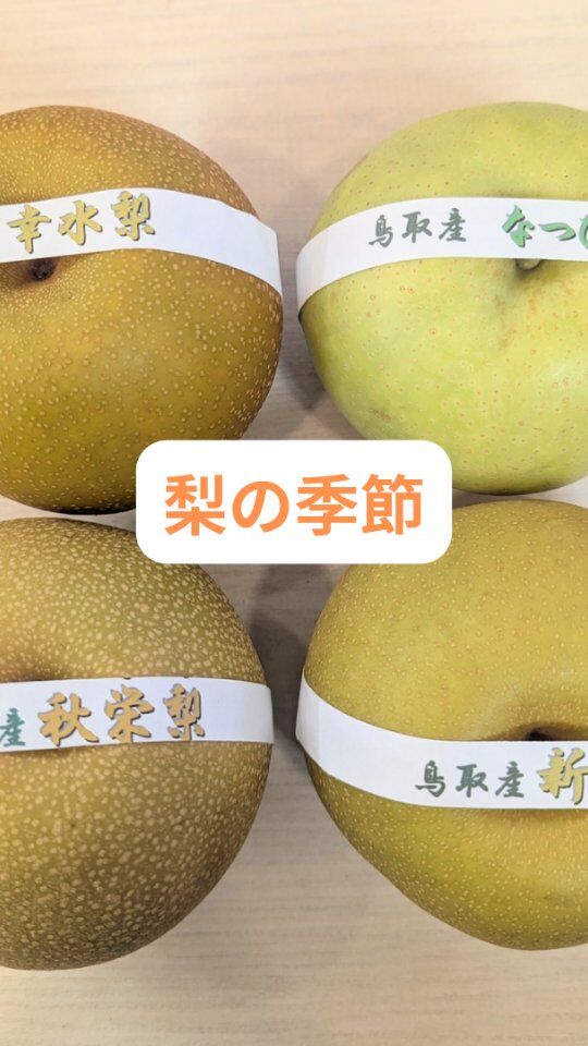 梨の入荷が始まりました。
    ようやく秋の気配を感じられる季節となって参りました🍁
    当店では現在、
    【新甘泉】
    【幸水梨】
    【なつひめ梨】
    【秋栄梨】
    の4種類をご用意しております。
    いずれの梨も甘みと水分がたっぷりで、ご満足いただける自信のある品ばかりです。
    今後も続々と美味しい梨が入荷してまいります。
    どうぞ秋の味覚の代表・梨を存分にご堪能くださいませ。
    皆さまのご来店・お問い合わせを心よりお待ち申し上げております。
    ーーーーーーーーーーーーーー
    (有)アオイ農園　ぶどうの木
    大阪府和泉市葛の葉町3-3-11
    (お車などでナビゲーションシステムを利用される場合は、番地を3-3-13でセットしてください。)
    TEL:0725-41-6955
    営業時間
    アオイ農園　9:00〜21:00
    ぶどうの木　10:00〜20:00
    Lumiere du ciel  10:00〜21:00
    ーーーーーーーーーーーーーー
    #梨
    #新甘泉
    #秋栄梨
    #なつひめ梨
    #幸水梨
    #アオイ農園
    #ぶどうの木
    #Lumiere du ciel