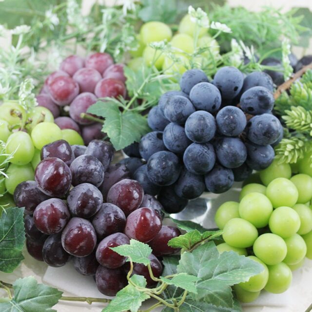 ぶどうの季節です！
    愛の果実ではぶどうが旬をむかえております。贅沢な食べ比べギフトセットをご用意しております。
    敬老の日にいかがでしょうか。
    -------------------------
    住所：〒594-0081
    大阪府和泉市葛の葉町3-3-11
    電話番号：0725-51-7586
    -------------------------
    #シャインマスカット
    #富士の輝き 
    #ナガノパープル
    #ルビーロマン
    #ぶどう
    #葡萄
    #敬老の日
    #贈り物
    #フルーツギフト
    #季節の果物
    #フルーツボックス
    #フルーツバスケット
    #fruitlover
    #果物
    #フルーツ
    #アオイ農園
    #愛の果実
    #愛の果実 楽天市場店
    #愛の果実 Yahoo店