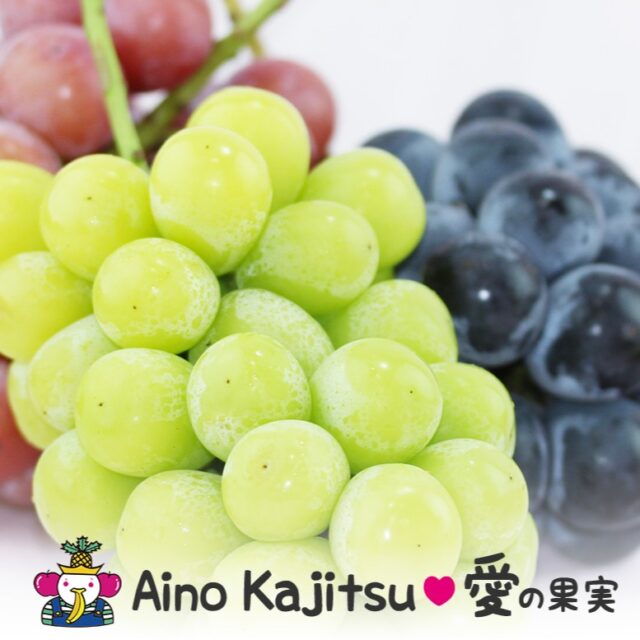 ぶどうの季節です！
    愛の果実では只今ポイント10倍で販売中。贅沢な食べ比べギフトセットをご用意しております。
    敬老の日にいかがでしょうか。
    -------------------------
    住所：〒594-0081
    大阪府和泉市葛の葉町3-3-11
    電話番号：0725-51-7586
    -------------------------
    #シャインマスカット
    #富士の輝き
    #ナガノパープル
    #ルビーロマン
    #ぶどう
    #葡萄
    #敬老の日
    #贈り物
    #フルーツギフト
    #季節の果物
    #フルーツボックス
    #フルーツバスケット
    #fruitlover
    #果物
    #フルーツ
    #アオイ農園
    #愛の果実
    #愛の果実 楽天市場店
    #愛の果実 Yahoo店
