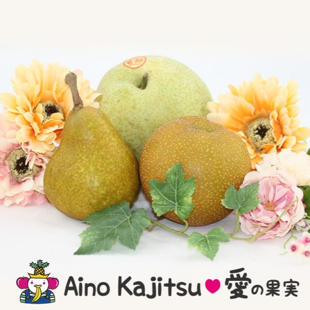 10月頃までが最盛期であり、特に9月頃が旬の時期の梨。
    愛の果実でもたくさんの種類が入荷します！
    -------------------------
    住所：〒594-0081
    大阪府和泉市葛の葉町3-3-11
    電話番号：0725-51-7586
    -------------------------
    #梨
    #洋梨
    #贈り物
    #フルーツギフト
    #季節の果物
    #フルーツボックス
    #フルーツバスケット
    #fruitlover
    #果物
    #フルーツ
    #アオイ農園
    #愛の果実
    #愛の果実 楽天市場店
    #愛の果実 Yahoo店
