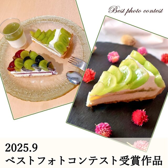 2025年9月
    ベストフォトコンテスト受賞作品📸
    9月はご投稿いただいた2名様に2,000円クーポンをプレゼントさせていただきます🎁✨
    ベストフォトコンテストは毎月3名の方を選ばせていただいておりますが、ご投稿が3名様に満たない月もございますのでクーポン取得は今がチャンスです📢
    皆様のご参加をお待ちしております😌
    ただいま梨や柿、栗を使用した秋タルトを絶賛販売中です🍁
    秋の味覚をぜひ当店でお楽しみくださいませ😋
    スタッフ一同、皆様のご投稿を楽しみにお待ちしております♪
    ※フォトコンテストの参加方法は、プロフィールに固定してある「ベストフォトコンテスト」の投稿をご確認ください。
    _ _ _ _ _ _ _ _ _ _ _ _ _
    住所:〒594-0081
    　  大阪府和泉市葛の葉町3丁目3-11（アオイ農園内）
    営業時間:10:00〜21:00
    電話番号:0725-58-6128
    その他ホームページやSNSは、Instagramトップのリンクからご覧くださいませ♪
    _ _ _ _ _ _ _ _ _ _ _ _ _
    #lumiereduciel #リュミエールドシエル #タルト #タルト専門店 #ベストフォトコンテスト #フォトコンテスト #フォトコン #プレゼント #プレゼント企画 #クーポン #受賞 #和泉市ケーキ #大阪ケーキ #アオイ農園 #フルーツタルト #フルーツタルト専門店 #フルーツ #果物 #果物屋 #プレゼントキャンペーン #写真コンテスト #インスタ映え #プレゼント企画実施中 #持ち帰りスイーツ #写真映え #美味しい写真 #秋の味覚 #秋スイーツ #秋の味覚いただきます #季節のタルト
