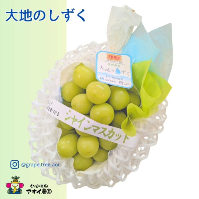 🍇✨ 長野が誇る最高級シャインマスカット『大地のしずく』 入荷しました✨🍇
    長野県須坂市・小布施町・高山村の「須高地域」で、厳しい基準のもと大切に育てられた特別なシャインマスカット。
    選ばれた“指定の樹”に実る“指定の房”の“指定の粒”。
    そのすべての条件を満たしたものだけが、『大地のしずく』と呼ばれます。
    市場でもめったに出会えない希少品。
    プリップリの大粒、パリッと弾ける果皮、
    口いっぱいに広がる芳醇で爽やかなマスカット香——。
    高糖度で上品な甘みは、まさに長野が誇る
    “自然の芸術”
    一粒で、心まで満たされる極上の味わいです。
    数量限定で店頭にて、また当店のネットショップ『愛の果実』楽天市場、Yahooショップでも販売中です。
    ぜひ一度、この感動の一粒を味わってください。
    ―――――――――――――――――――――――――
    ネットショップ『愛の果実』
    ◆楽天市場◆
    https://www.rakuten.co.jp/aino-kajitu/
    ◆Yahooショップ◆
    https://shopping.geocities.jp/aino-kajitu/
    ―――――――――――――――――――――――――
    皆さまのご来店・お問い合わせを心よりお待ち申し上げております。
    ーーーーーーーーーーーーーー
    (有)アオイ農園　ぶどうの木
    大阪府和泉市葛の葉町3-3-11
    (お車などでナビゲーションシステムを利用される場合は、番地を3-3-13でセットしてください。)
    TEL:0725-41-6955
    営業時間
    アオイ農園　9:00〜21:00
    ぶどうの木　10:00〜20:00
    Lumiere du ciel  10:00〜21:00
    ーーーーーーーーーーーーーー
    #大地のしずく 
    #シャインマスカット 
    #長野県産フルーツ 
    #高級果物 
    #須高地域 
    #贈答用フルーツ 
    #果物好きな人と繋がりたい 
    #旬の味覚 
    #フルーツギフト
    #高級果物
    #皮ごと食べられる
    #糖度の高いぶどう 
    #贈り物にもおすすめ 
    #アオイ農園
    #ぶどうの木
    #Lumiere du ciel