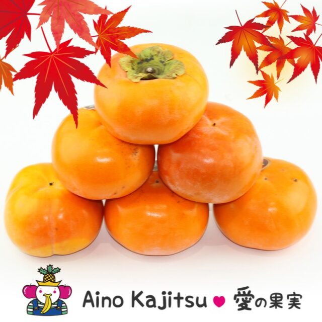 柿は品種によって旬の時期は異なりますが10月から11月頃が最も一般的な時期です。早生品種は9月頃から、次郎柿は10月～11月、富有柿は11月下旬～12月が旬のピークとなります。�
    アオイ農園 愛の果実でも少しずつ柿商品が増えてきてます😊
    -------------------------
    住所：〒594-0081
    大阪府和泉市葛の葉町3-3-11
    電話番号：0725-51-7586
    -------------------------
    #柿
    #贈り物
    #フルーツギフト
    #季節の果物
    #フルーツボックス
    #フルーツバスケット
    #fruitlover
    #果物
    #フルーツ
    #アオイ農園
    #愛の果実
    #愛の果実 楽天市場店
    #愛の果実 Yahoo店