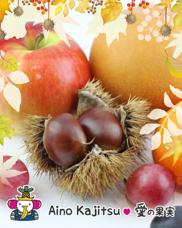 実りの秋、到来です！
    天津甘栗の販売が始まりました🌰
    ぶどうやりんごなど、フルーツ商品も豊富に取り揃えています🥰
    各種贈り物に健康的な果物ギフトを是非ご検討下さい✨
    -------------------------
    住所：〒594-0081
    大阪府和泉市葛の葉町3-3-11
    電話番号：0725-51-7586
    -------------------------
    #りんご
    #ぶどう
    #甘栗
    #秋の味覚
    #贈り物
    #フルーツギフト
    #季節の果物
    #フルーツボックス
    #フルーツバスケット
    #fruitlover
    #果物
    #フルーツ
    #アオイ農園
    #愛の果実
    #愛の果実 楽天市場店
    #愛の果実 Yahoo店