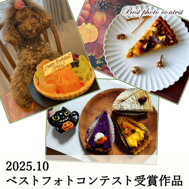 2025年10月
    ベストフォトコンテスト受賞作品🎊
    10月も素敵なお写真のご投稿ありがとうございました✨
    多くのお客様がご投稿してくださり嬉しい限りです☺️
    受賞されたお客様には、当店で使える2,000円クーポンをプレゼントさせていただきます🎁
    ベストフォトコンテストは毎月3名の方を選ばせていただいていますので、皆様のご参加お待ちしております♪
    多くのお客様にご好評いただいている「いちごタルト」もまもなく販売開始いたしますので、楽しみにお待ちくださいませ😌🍓
    来月も皆様のご投稿を楽しみにしております📸
    ※フォトコンテストの参加方法は、プロフィールに固定してある「ベストフォトコンテスト」の投稿をご確認ください。
    _ _ _ _ _ _ _ _ _ _ _ _ _
    住所:〒594-0081
    　  大阪府和泉市葛の葉町3丁目3-11（アオイ農園内）
    営業時間:10:00〜21:00
    電話番号:0725-58-6128
    その他ホームページやSNSは、Instagramトップのリンクからご覧くださいませ♪
    _ _ _ _ _ _ _ _ _ _ _ _ _
    #lumiereduciel #リュミエールドシエル #タルト #タルト専門店 #ベストフォトコンテスト #フォトコンテスト #フォトコン #プレゼント #プレゼント企画 #クーポン #受賞 #和泉市ケーキ #大阪ケーキ #アオイ農園 #フルーツタルト #フルーツタルト専門店 #フルーツ #果物 #プレゼントキャンペーン #写真コンテスト #インスタ映え #プレゼント企画実施中 #ケーキ屋さん #洋菓子 #カフェタイム #ティータイム