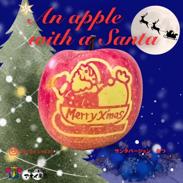 🎅🍎 メリークリスマス 🍎🎅
    サンタの柄が浮かび上がった
    **サンタ仕様の「むつりんご」**をお届けします🎁
    手にした瞬間、思わず笑顔になるかわいらしさ。
    ひと口かじると、果汁たっぷりでとっても甘く、
    心まであたたかくなるような味わいです✨
    実は「むつりんご」は、
    本来は黄色〜黄緑色になる品種。
    栽培中に袋をかけて赤く色づけし、
    収穫の約1ヶ月前に袋を外して
    太陽の光をたっぷり浴びることで、
    この美しい紅桃色に仕上がります🍎
    まだ果実が白い時期に、
    サンタや文字の型をつけることで、
    収穫時に絵柄がくっきり浮かび上がる
    **「絵文字りんご」**になるんです🎄✨
    果汁が多く、濃厚な甘みの中にほどよい酸味。
    ちょっとしたクリスマスギフトや、
    大切な人へのサプライズにぴったり🎁
    この季節だけの特別なりんご、
    ぜひお楽しみください🤍
    ーーーーーーーーーーーーー
    (有)アオイ農園　ぶどうの木
    大阪府和泉市葛の葉町3-3-11
    (お車などでナビゲーションシステムを利用される場合は、番地を3-3-13でセットしてください。)
    TEL:0725-41-6955
    営業時間
    アオイ農園　9:00〜21:00
    ぶどうの木　10:00〜20:00
    Lumiere du ciel  10:00〜21:00
    ーーーーーーーーーーーーーー
    #メリークリスマス
    #サンタりんご
    #クリスマスギフト
    #りんご好き
    #フルーツギフト