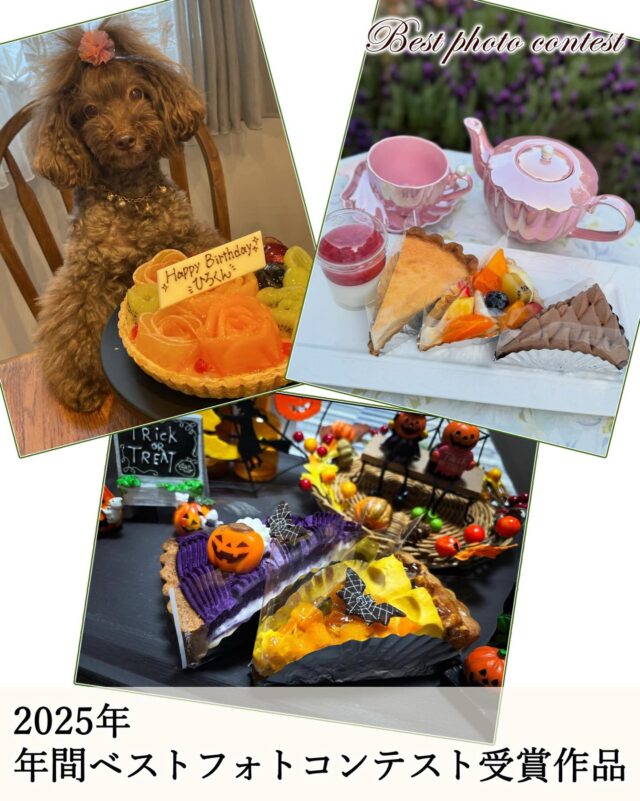 2025年 年間ベストフォトコンテスト受賞作品🎊
    昨年ベストフォトコンテストにご参加いただいた皆様
    誠にありがとうございました！☺️
    ご参加してくださる方が増えて昨年は約60件ものお写真をご投稿いただいておりました😳✨
    当店の商品が多くのお客様に届いていると思うと嬉しい限りでございます😭✨
    皆様の想いが込められた素敵なお写真ばかりで選考に苦戦いたしましたが、年間受賞作品を3つ厳選させていただきました📸
    受賞された方には当店で使える5,000円クーポンを送らせていただきます🎁おめでとうございます！🎉
    2025年もベストフォトコンテストを盛り上げてくださった皆様ありがとうございました✨
    2026年も素敵なお写真に出会えることをスタッフ一同今から楽しみにお待ちしております！
    ※フォトコンテストの参加方法は、プロフィールに固定してある「ベストフォトコンテスト」の投稿をご確認ください。
    _ _ _ _ _ _ _ _ _ _ _ _ _
    住所:〒594-0081
    　  大阪府和泉市葛の葉町3丁目3-11（アオイ農園内）
    営業時間:10:00〜21:00
    電話番号:0725-58-6128
    その他ホームページやSNSは、Instagramトップのリンクからご覧くださいませ♪
    _ _ _ _ _ _ _ _ _ _ _ _ _
    #フルーツケーキ #タルト専門店 #フォトコンテスト #プレゼント企画 #スイーツ