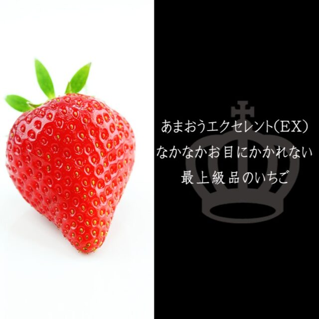 あまおうEX（エクセレント）
    大粒で甘味の強い「あまおう」。
    「あまおう」という名前は、「赤い」「丸い」「大きい」「うまい」の頭文字を合わせたもので、「甘いイチゴの王様になれるように」との意味も込められているそうです。「博多あまおう」とも呼ばれています。
    ご自宅用・各種ギフトに😊
    -------------------------
    住所：〒594-0081
    大阪府和泉市葛の葉町3-3-11
    電話番号：0725-51-7586
    -------------------------
    #いちご
    #あまおう
    #贈り物
    #フルーツギフト
    #季節の果物
    #フルーツボックス
    #フルーツバスケット
    #fruitlover
    #果物
    #フルーツ
    #アオイ農園
    #愛の果実
    #愛の果実 楽天市場店
    #愛の果実 Yahoo店