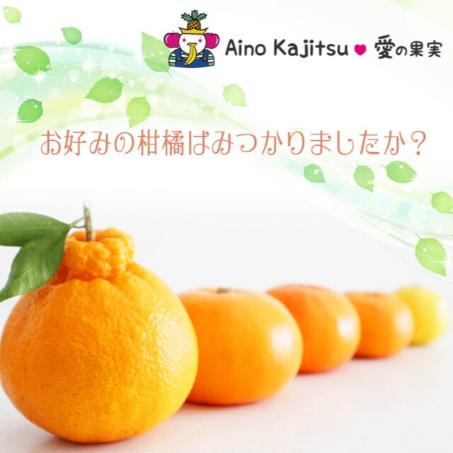 せとか・甘平・デコポン・紅八朔・土佐文旦・甘柑南などなど…
    今が旬の国産柑橘の詰め合わせ！
    愛の果実 楽天市場店
    愛の果実 Yahoo店で販売中です。
    皆様のご訪問をお待ちしております(*^-^*)
    -------------------------
    住所：〒594-0081
    大阪府和泉市葛の葉町3-3-11
    電話番号：0725-51-7586
    -------------------------
    #果物詰め合わせ
    #柑橘
    #みかん
    #贈り物
    #フルーツギフト
    #季節の果物
    #フルーツボックス
    #フルーツバスケット
    #fruitlover
    #果物
    #フルーツ
    #アオイ農園
    #愛の果実
    #愛の果実 楽天市場店
    #愛の果実 Yahoo店