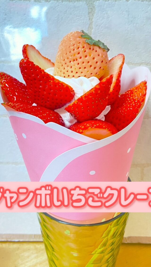 🍓ジャンボいちごクレープ🍓
    ✨期間限定✨
    ほんとにたくさんの苺が入っています❣️
    🍓カットいちご　いっぱい
    🍓小粒いちご7個
    🍓淡雪苺1個
    飾りの苺もご覧のとうり‼︎
    期間限定なので　一番いちごが美味しいこの時期に挑戦して下さい
    お待ちしております
    ＝＝＝＝＝＝＝＝＝＝＝＝＝＝＝＝＝＝
    【アオイ農園】
     営業時間︰9:00〜21:00
    【フルーツパーラー「ぶどうの木」】
     営業時間︰10:00〜20:00(ラストオーダー)
     〒594-0081 
      大阪府和泉市葛の葉町3丁目3-11
     （お車でお越しの際はカーナビを
      3丁目3-14でセット下さい。）
     JR北信太駅より  徒歩15分
      南海北助松駅より 徒歩20分
     定休日︰年中無休
      TEL☎︰0725-41-6955
    ＝＝＝＝＝＝＝＝＝＝＝＝＝＝＝＝＝＝＝＝
      #フルーツ #フルーツクレープ  #クレープ屋さん #果物屋 #osakacafe 南大阪果物屋さん 南大阪カフェ フルーツパフェ専門店 和泉市カフェ インスタ映え アオイ農園
    クレープ サービス サービスデー ジュース