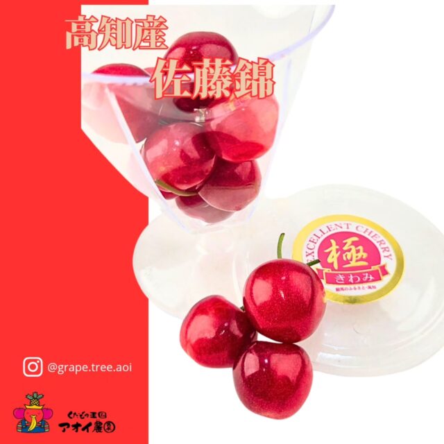 ​【極みさくらんぼ🍒佐藤錦】
    ​高知の豊かな風土が育てた、日本国内で一番早く食べられるさくらんぼ「佐藤錦」。
    その魅力をさらに引き立てる2つのスタイルで入荷いたしました。
    ​一つは、威風堂々とした**「桐箱入り」**。
    一粒ずつ、宝石を扱うように詰められた「秀品」の美しさは、まさに芸術品。大切な方への贈り物や、ここぞという時のご褒美に。
    ​もう一つは、輝きを放つ**「グラススタイル」**。
    透明な器に透ける赤色が、テーブルを華やかに彩ってくれます。
    自分へのとびきりの贅沢や、シャンパンと一緒に楽しむのも素敵ですね。
    ​冬に味わう、最高級の甘さと艶。
    どちらの贅沢を選びますか？🍒
    入荷には限りがございますので、店頭またはお電話にて、お気軽にお問い合わせ下さいませ。
    ーーーーーーーーーーーー
    (有)アオイ農園　ぶどうの木
    大阪府和泉市葛の葉町3-3-11
    (お車などでナビゲーションシステムを利用される場合は、番地を3-3-13でセットしてください。)
    TEL:0725-41-6955
    営業時間
    アオイ農園　9:00〜21:00
    ぶどうの木　10:00〜20:00
    Lumiere du ciel  10:00〜21:00
    ーーーーーーーーーーーーーー
    #佐藤錦
    #日本一早いさくらんぼ 
    #高級フルーツ 
    #ご褒美スイーツ 
    #春を先取り
