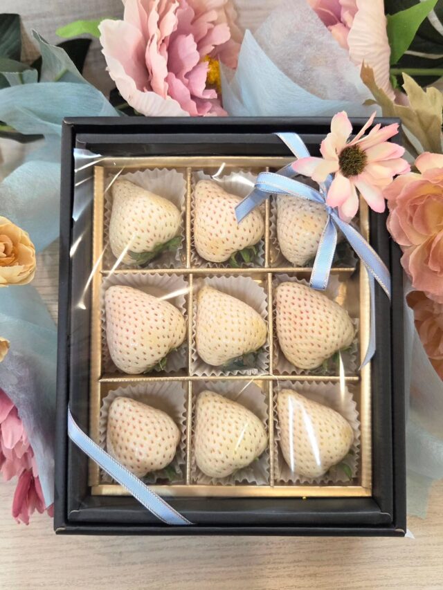 ​佐賀県産白イチゴ ｢雪うさぎ｣🐇
    ​ホワイトデーにふさわしい、気品溢れる純白の輝き。
    心に響くイメージにあわせて、ピンクとブルーのご用意。
    ​宝石箱に並ぶその姿は、まさに芸術です。
    芳醇な香りと、計算された甘み。
    ​五感で楽しむ贈り物のご提案です。
    ーーーーーーーーーーーー
    (有)アオイ農園　ぶどうの木
    大阪府和泉市葛の葉町3-3-11
    (お車などでナビゲーションシステムを利用される場合は、番地を3-3-13でセットしてください。)
    TEL:0725-41-6955
    営業時間
    アオイ農園　9:00〜21:00
    ぶどうの木　10:00〜20:00
    Lumiere du ciel  10:00〜21:00
    ーーーーーーーーーーーーーー
    ​#果物
    #白いちご 
    #ホワイトデー
    #贈り物
    #和泉市