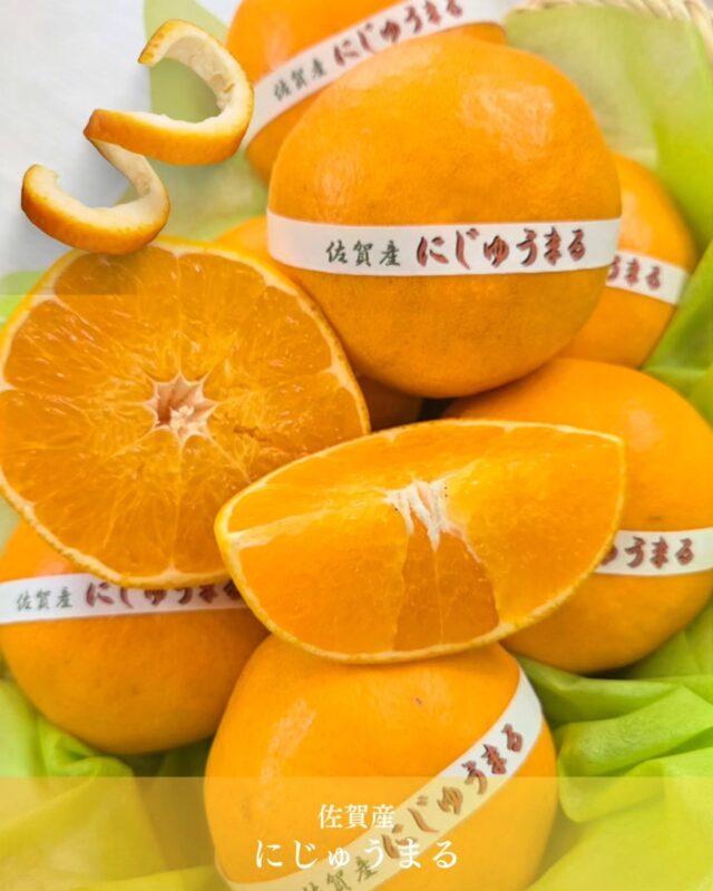 柑橘界に「期待の超新星」現る🍊✨
    ​佐賀県が20年もの歳月をかけて、ようやく完成させたという『にじゅうまる』。
    見た目・香り・果汁・甘さ・食感のすべてが二重丸◎なのです。
    ​一口食べた瞬間、高糖度の濃厚な甘みがじゅわ〜っと広がって、衝撃です！
    せとかや甘平が好きなら、絶対に一度は食べてみてほしい…！
    プチプチした食感が楽しくて、食べごたえも抜群です。
    ​自分へのご褒美にはもちろん、大切な人へのギフトにもぴったり。
    この美味しさ、皆様にも体験してほしい🍊
    ーーーーーーーーーーーー
    (有)アオイ農園　ぶどうの木
    大阪府和泉市葛の葉町3-3-11
    (お車などでナビゲーションシステムを利用される場合は、番地を3-3-13でセットしてください。)
    TEL:0725-41-6955
    営業時間
    アオイ農園　9:00〜21:00
    ぶどうの木　10:00〜20:00
    Lumiere du ciel  10:00〜21:00
    ーーーーーーーーーーーーーー
    ​#にじゅうまる
    #佐賀県産
    #フルーツ大好き 
    #柑橘
    #和泉市