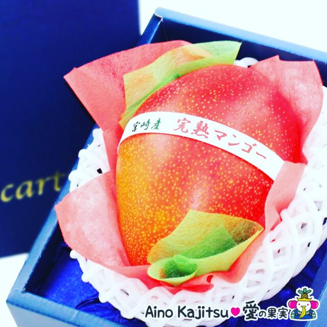 太陽をいっぱい浴びて育った宮崎産完熟マンゴーご予約始まっております☀️🥭
    樹上でギリギリまで実が熟しきって自然にポトンと落ちるのを待ったマンゴー🥭
    美しい見た目に芳醇な香り
    ジューシーでとろけるような食感
    そして濃厚な甘さ
    世界三大美果と呼ばれるにふさわしい逸品です✨
    なんとそれだけではなくビタミンA、βカロテン、カリウムなどお肌や腸、体にいいものがたくさんふくまれています👍
    大切な方への贈り物に🎀
    宮崎から入荷次第お届けします🚛
    -------------------------
    住所：〒594-0081
    大阪府和泉市葛の葉町3-3-11
    電話番号：0725-51-7586
    -------------------------
    #腸活
    #美肌
    #マンゴー
    #宮崎マンゴー
    #完熟マンゴー
    ＃fruit
    #フルーツ大好き
    #お取り寄せ
    #手土産
    #プレゼント
    #贈り物
    #フルーツギフト
    #季節の果物
    #フルーツボックス
    #フルーツバスケット
    ＃fruitlover
    #果物
    #フルーツ
    #アオイ農園
    #愛の果実
    #愛の果実楽天市場店
    #愛の果実Yahoo店