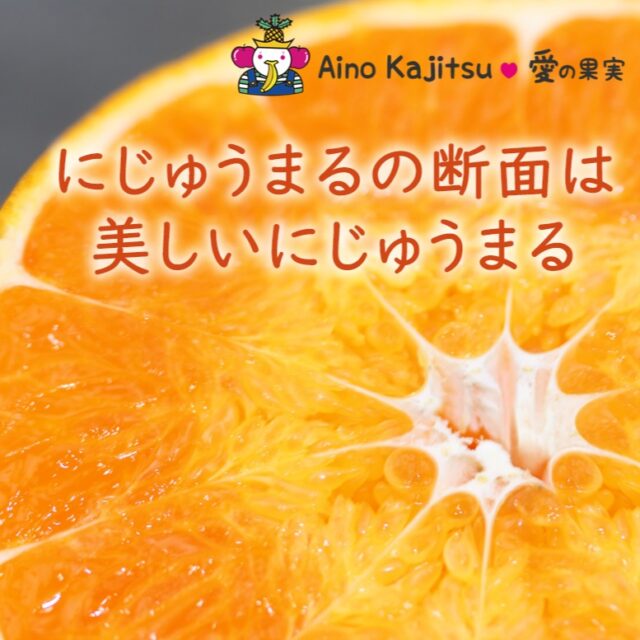 見た目、香り、甘さ、果汁、食感。そのすべてが「二重丸」
    にじゅうまるは、12月下旬～1月に収穫され、そこから1～2ヵ月程貯蔵施設にて保管されます。 この貯蔵期間中に「甘さを濃縮」させ、「酸味を低くする」ことで「まろやかな味」になります。
    -------------------------
    住所：〒594-0081
    大阪府和泉市葛の葉町3-3-11
    電話番号：0725-51-7586
    -------------------------
    #贈り物
    #フルーツギフト
    #季節の果物
    #フルーツボックス
    #フルーツバスケット
    #fruitlover
    #果物
    #フルーツ
    #アオイ農園
    #愛の果実
    #愛の果実 楽天市場店
    #愛の果実 Yahoo店