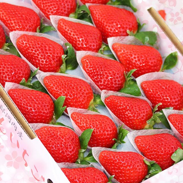 🌸🍑🍓数量限定おトクに販売中です🍓🍑🌸
    徳島県佐那河内村の限られた農家さんだけが栽培している
    🌸🍑🍓さくらももいちご🍓🍑🌸
    毎年初セリでは1箱10万越えという高値で取引されている高級いちごです
    ある県の品質評価においてにいちごは11度以上なら「甘い」とされる中
    糖度16度以上のさくらももいちご🍓
    お取り扱いございます✨
    お店へはプロフィールのリンクからどうぞ🎶
    -------------------------
    住所：〒594-0081
    大阪府和泉市葛の葉町3-3-11
    電話番号：0725-51-7586
    -------------------------
    #いちご　
    #苺
    #イチゴ
    #ストロベリー
    #さくらももいちご
    #徳島佐那河内産
    #fruit
    #フルーツ大好き
    #お取り寄せ
    #手土産
    #プレゼント
    #贈り物
    #フルーツギフト
    #季節の果物
    #フルーツボックス
    #フルーツバスケット
    #fruitlover
    #果物
    #フルーツ
    #アオイ農園
    #愛の果実
    #愛の果実楽天市場店
    #愛の果実Yahoo店