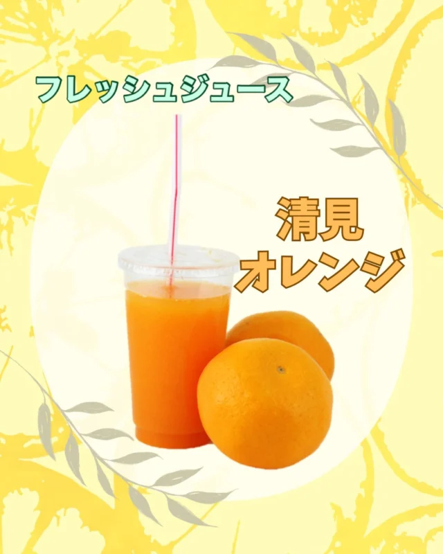 🍹ジュース🍹
    🍊清見オレンジジュース🍊
    生搾りフレッシュジュースです
    温州みかんとオレンジの交配種の
    清美オレンジは
    ビタミンC.Pが豊富で
    美肌、老化防止、
    風邪予防、疲労回復、
    腸活、便秘改善などの効能があります
    持帰　¥864
    店内　¥880
    是非　ご賞味くださいませ
    ＝＝＝＝＝＝＝＝＝＝＝＝＝＝＝＝＝＝
    【アオイ農園】
     営業時間︰9:00〜21:00
    【フルーツパーラー「ぶどうの木」】
     営業時間︰10:00〜20:00(ラストオーダー)
     〒594-0081 
      大阪府和泉市葛の葉町3丁目3-11
     （お車でお越しの際はカーナビを
      3丁目3-14でセット下さい。）
     JR北信太駅より  徒歩15分
      南海北助松駅より 徒歩20分
     定休日︰年中無休
      TEL☎︰0725-41-6955
    ＝＝＝＝＝＝＝＝＝＝＝＝＝＝＝＝＝＝＝＝
      #フルーツ #和泉市カフェ #フルーツパーラー