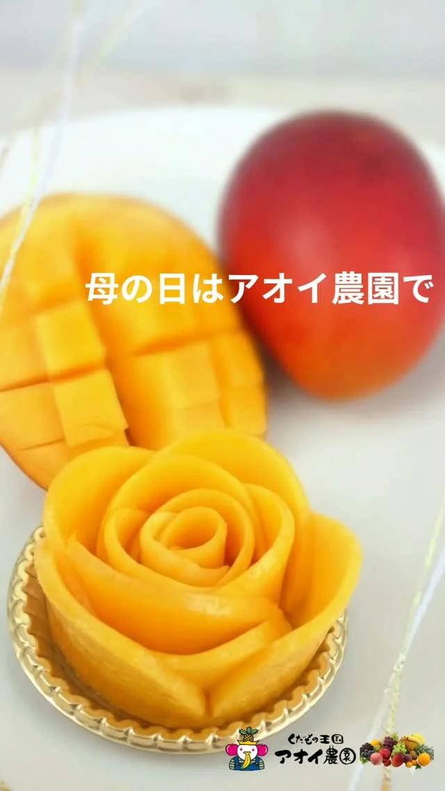 ​「ありがとう」の気持ちを、とろける甘さにのせて。
    ​今年の母の日は、太陽の恵みをたっぷり浴びた宮崎産完熟マンゴーを贈りませんか？🥭✨
    ​母の日用に丁寧にラッピングしたギフトはもちろん、華やかな**「フラワーオードブル」**は、まるで食べられる花束のよう。食卓をパッと明るく彩ってくれます。
    ​⚠️オードブルはひとつずつ手作りするため、数量限定となります。毎年ご好評いただいておりますので、ぜひお早めにご予約くださいね。
    ーーーーーーーーーーーーー
    (有)アオイ農園　ぶどうの木
    大阪府和泉市葛の葉町3-3-11
    (お車などでナビゲーションシステムを利用される場合は、番地を3-3-13でセットしてください。)
    TEL:0725-41-6955
    営業時間
    アオイ農園　9:00〜21:00
    ぶどうの木　10:00〜20:00
    Lumiere du ciel  10:00〜21:00
    ーーーーーーーーーーーーーー
    #母の日
    #母の日ギフト
    #国産マンゴー
    #プレゼント
    #果物屋