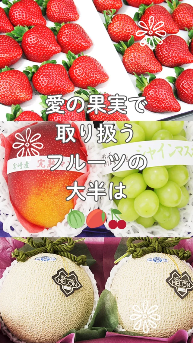 🍈🥭🫐🍒愛の果実で取り扱うフルーツの大半は
    大阪市中央卸売市場から冷蔵車でお店に運ばれています🍓🍇🍎🍐
    お店へはプロフィールのリンクからどうぞ♪
    @aino.kajitu
    -------------------------
    住所:〒594-0081
    大阪府和泉市葛の葉町3-3-11
    電話番号:0725-51-7586
    -------------------------
    #キウイ
    #いちご
    #ブルーベリー
    #ぶどう
    #さくらんぼ
    #トマト
    #ライチ
    #プルーン
    #プラム
    #みかん
    #いちじく
    #peach
    #おいしいものを食べよう
    #fruit
    #フルーツ大好き
    #フルーツギフト
    #季節の果物
    #フルーツボックス
    #フルーツバスケット
    #fruitlover
    #果物
    #果物大好き
    #フルーツ
    #アオイ農園
    #愛の果実
    #愛の果実楽天市場店
    #愛の果実Yahoo店