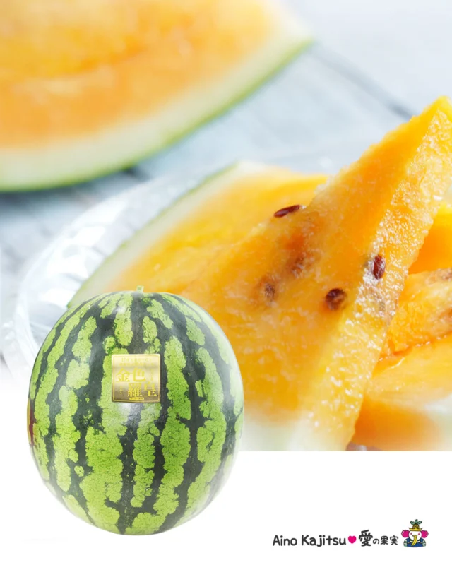 🍉✨金色羅皇（こんじきらおう）とは✨🍉
    2021年に全国デビューしたばかりのスイカで
    「黄色いスイカ＝あまり甘くない」という従来のイメージを覆した新品種です
    そのつよそう💪な名前にふさわしい黄金色の果肉と圧倒的な糖度
    スイカは一般的に糖度12度でも十分に甘いと言われていますが
    糖度を競う大会「金色羅皇グランプリ」では最高糖度20.6度を記録しました🎊
    シャリシャリの食感とまるでスイーツのような甘さのスイカ
    ✨💪金色羅皇💪✨
    愛の果実でもお取り扱いございます✨🍉
    お店へはプロフィールのリンクからどうぞ♪
    @aino.kajitu
    ……………………
    住所:〒594-0081
    大阪府和泉市葛の葉町3-3-11
    電話番号:0725-51-7586
    …………………
    #すいか
    #スイカ
    #西瓜　　　　　　　　　　　　　
    #金色羅皇
    #金色羅皇スイカ
    #おいしいものを食べよう
    #fruit
    #フルーツ大好き
    #フルーツギフト
    #季節の果物
    #フルーツボックス
    #フルーツバスケット
    #fruitlover
    #果物
    #果物大好き
    #フルーツ
    #アオイ農園
    #愛の果実
    #愛の果実楽天市場店
    #愛の果実Yahoo店