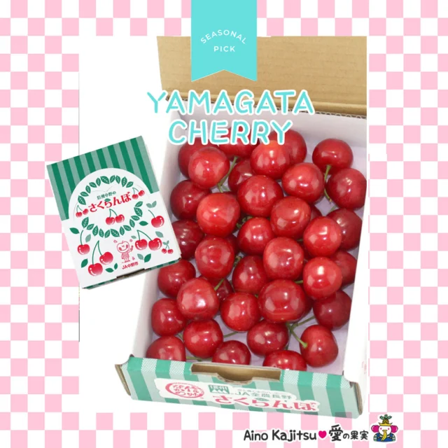 かわいい🍒おいしい🍒
    初夏を代表するフルーツさくらんぼ🍒
    愛の果実では山形県産の人気の高い
    佐藤錦または紅秀峰を産地化粧箱入りでお届けします✨
    産地化粧箱入りの魅力は
    ”つみたてをすぐキレイに箱詰めするところ”
    果物の中でも特にデリケートな”さくらんぼ”は触る回数が極力少ないほうが鮮度が保たれます
    さくらんぼ同士で輸送中に衝撃が少ないようにきっちりと詰められています
    外はプリプリ中はやわらかくジューシー🍒
    収穫時期や天候などを加味して最も良いものを厳選してお届けします🍒
    お店へはプロフィールのリンクからどうぞ🎶
    @aino.kajitu
    -------------------------
    住所：〒594-0081
    大阪府和泉市葛の葉町3-3-11
    電話番号：0725-51-7586
    -------------------------
    #さくらんぼ
    #さくらんぼ🍒
    #サクランボ
    #サクランボ🍒
    #🍒
    #山形県産
    #紅秀峰
    #佐藤錦
    #チェリー
    #kiwi
    #おいしいものを食べよう
    #fruit
    #フルーツ大好き
    #お取り寄せ
    #手土産
    #プレゼント
    #贈り物
    #フルーツギフト
    #季節の果物
    #フルーツボックス
    #フルーツバスケット
    #fruitlover
    #果物
    #果物大好き
    #フルーツ
    #アオイ農園
    #愛の果実
    #愛の果実楽天市場店
    #愛の果実Yahoo店