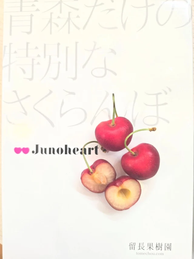 ​🍒初夏に贈る、青森の宝物。最高級さくらんぼ「ジュノハート」入荷のお知らせ
    ​見てください、この見事なハート形！大玉でツヤツヤに輝くルビー色の正体は、青森県独自のさくらんぼ品種「ジュノハート」です✨
    ​国内最大級の大きさに加え、糖度は約20度と驚くほどの甘さ！
    実は過去に山火事の手前で生き残った原木から生まれたという、ものすごい「強運」と「幸福」のストーリーを持つさくらんぼでもあるんです。
    ​女神の祝福を受けたような美しいフルーツは、大切な方への贈り物にぴったり。
    ​6月〜7月上旬だけの期間限定・数量限定の販売です。
    大切なあの人に、美味しいハートを届けてみませんか？🥰
    店頭に常時、入荷していない商品ですので、ご予約お願いいたします。地方発送なども、お気軽にスタッフまでお問い合わせください！
    ーーーーーーーーーーーーー
    (有)アオイ農園　ぶどうの木
    大阪府和泉市葛の葉町3-3-11
    (お車などでナビゲーションシステムを利用される場合は、番地を3-3-13でセットしてください。)
    TEL:0725-41-6955
    営業時間
    アオイ農園　9:00〜21:00
    ぶどうの木　10:00〜20:00
    Lumiere du ciel  10:00〜21:00
    ーーーーーーーーーーーーーー
    ​#ジュノハート
    #さくらんぼ
    #青森フルーツ 
    #大切な人へのプレゼント
    #アオイ農園
