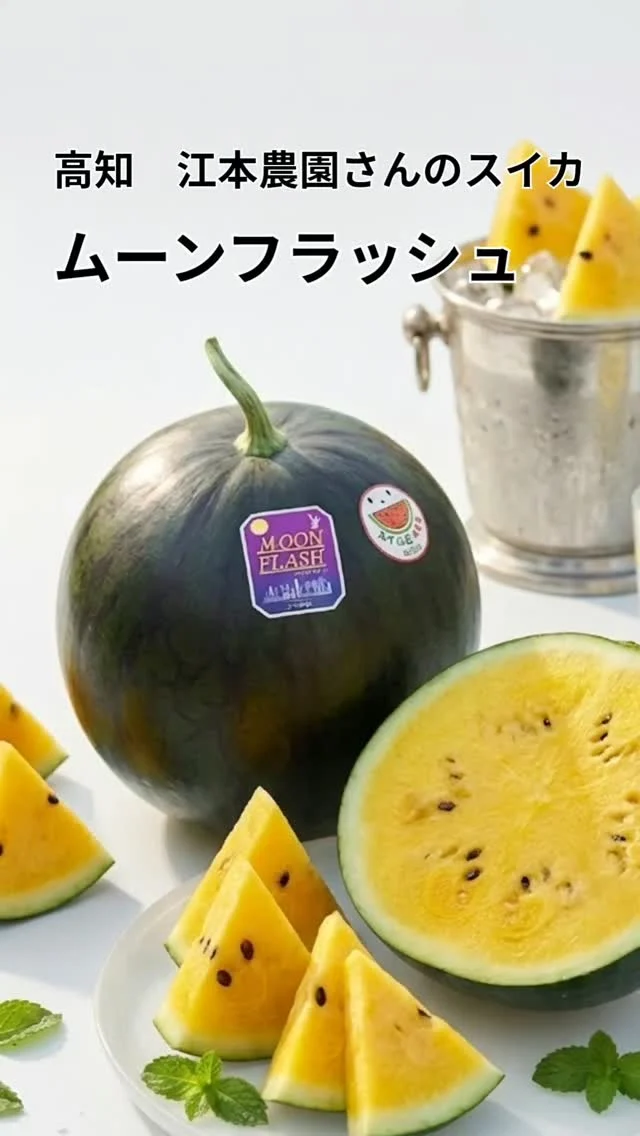 ​【奇跡の入荷✨ 幻の黄金スイカ『ムーンフラッシュ』】
    ​みなさん、こんにちは！
    今日は、高知県の江本農園さんが情熱を注ぎ込んだ、もの凄く特別なスイカをご紹介します。
    ​その名も、『ムーンフラッシュ』。
    ​「うちはやっぱりムーンフラッシュが好きっ！」
    そう語る江本農園さんが、昨年の失敗や悔しさを徹底的に改善し、今年満を持して仕上げた渾身の自信作です。
    ​このスイカ、何が凄いかって……
    漆黒の美しい皮を割ると、中から現れるのは月光のように輝く「鮮やかな黄色い果肉」！
    ​しかも、驚愕の【中心糖度14.5度】越えなんです！
    ひと口かじれば、大玉スイカならではの極上の「シャリ感」とともに、これまでの黄肉スイカの常識を覆す、圧倒的なコクと圧倒的な甘さが口いっぱいに広がります。
    ​栽培されているのは、一株から厳選された立体栽培で【限定わずか60本のみ】。
    年に一度、たった10日間ほどで収穫・販売が終わってしまう、まさに“幻の大玉スイカ”です。
    ​江本農園さんが「やっぱりこれが美味しい！」と大絶賛する、DNAに刻まれるような感動の味わいを、ぜひスイカ好きの皆さまと分かち合いたいです。
    ​限定本数のため、なくなり次第終了となります。
    この奇跡の出会いを、ぜひお見逃しなく！お店でお待ちしています。
    ーーーーーーーーーーーーー
    (有)アオイ農園　ぶどうの木
    大阪府和泉市葛の葉町3-3-11
    (お車などでナビゲーションシステムを利用される場合は、番地を3-3-13でセットしてください。)
    TEL:0725-41-6955
    営業時間
    アオイ農園　9:00〜21:00
    ぶどうの木　10:00〜20:00
    Lumiere du ciel  10:00〜21:00
    ーーーーーーーーーーーーーー
    #高知県スイカ
    #黄スイカ
    #大玉スイカ
    #ムーンフラッシュ
    #スイカ好き