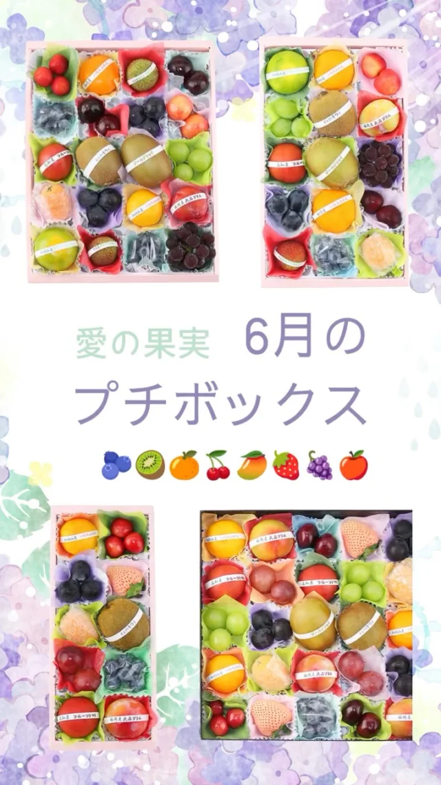 一番人気のプチボックスです🥭🫐🍒🥝
    フルーツアドバイザーが目利きして選び抜いた果物を少しずつお詰めしております
    贈り物にはもちろんご自宅で旬のフルーツをお楽しみいただくにもおすすめです🍅🍇🍎
    お店へはプロフィールのリンクからどうぞ♪
    -------------------------
    住所:〒594-0081
    大阪府和泉市葛の葉町3-3-11
    電話番号:0725-51-7586
    -------------------------
    #キウイ
    #いちご
    #ブルーベリー
    #ぶどう
    #さくらんぼ
    #トマト
    #ライチ
    #プルーン
    #プラム
    #みかん
    #いちじく
    #peach
    #おいしいものを食べよう
    #fruit
    #フルーツ大好き
    #フルーツギフト
    #季節の果物
    #フルーツボックス
    #フルーツバスケット
    #fruitlover
    #果物
    #果物大好き
    #フルーツ
    #アオイ農園
    #愛の果実
    #愛の果実楽天市場店
    #愛の果実Yahoo店