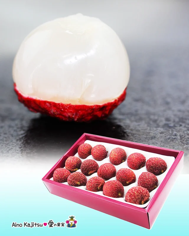 ✨世界三大美女の一人楊貴妃が愛したと言われるライチ✨
    夫である玄宗は彼女のために足の速い馬を用意して🐎何頭も乗り継いで🐎🐎遠い道のりを少しでも早く届けるべく苦心したとか🐎🐎🐎
    というのも、生のライチは鮮度が落ちやすいので、新鮮なままに届けるのがとても大変だったそうです。
    ひと昔前は日本でも加熱処理された外国産の冷凍ライチが主流でしたが、現在では沖縄や九州などで栽培されるようになって、生の国産ライチが入手できるようになりました。
    とはいえまだ栽培数は多くはなく、現在国内で流通しているライチのわずか1%程度ではあります。
    美肌、免疫力の向上が期待できるビタミンCが豊富で✨
    貧血予防に効果が期待できる葉酸の含有量は果物の中でトップクラス✨✨
    美容に関心の高い方だけでなく、女性や妊娠中の方にもうれしいフルーツ✨✨✨
    なによりみずみずしくてプリッとしたフレッシュな果肉は感動の味わいですのでどなたさまにもぜひ味わっていただきたいです😌
    希少な国産生ライチ、愛の果実でも先日よりお取り扱いが始まりました！
    お早めにどうぞ✨
    お店へはプロフィールのリンクからどうぞ♪
    @aino.kajitu
    -------------------------
    住所：〒594-0081
    大阪府和泉市葛の葉町3-3-11
    電話番号：0725-51-7586
    -------------------------
    #ライチ
    #国産ライチ
    #国産生ライチ
    #生ライチ
    #紅ライチ
    #貧血予防
    #お取り寄せフルーツ
    #おいしいものを食べよう
    #fruit
    #フルーツ大好き
    #フルーツギフト
    #季節の果物
    #フルーツボックス
    #フルーツバスケット
    #fruitlover
    #果物
    #果物大好き
    #フルーツ
    #アオイ農園
    #愛の果実
    #愛の果実楽天市場店
    #愛の果実Yahoo店