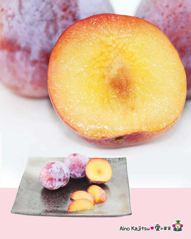 果物屋が伝えたい🍑
    すももの常識を変えた「貴陽」
    大きな果実、あふれる果汁、
    上品な甘さと爽やかな酸味。
    その存在感から、今では高級すももの代表格として知られる「貴陽」。
    すももとしては唯一、伊勢神宮への奉納品に選ばれています。
    でも、最初から特別なフルーツだったわけではありません。
    貴陽は、山梨県で長い年月をかけて育てられたすももの品種。
    質の高い味わいを追求し、長年の研究と栽培の工夫によって誕生しました。
    大きく育つ果実は、一般的なすももとは一線を画す存在感。
    大きいものは300gを超え、平成24年には「世界で最も重いスモモ」としてギネス世界記録に認定されました。
    ちなみにギネス認定時の記録の23.79gは、桃だと2Lサイズに該当します。
    果肉はなめらかで、
    噛んだ瞬間に広がる濃厚な甘み。
    そして後から追いかけてくる、
    すももらしい心地よい酸味。
    甘いだけではなく、
    香り・果汁・食感のバランスが楽しめるのが貴陽の魅力です✨
    栽培が難しく、収穫量も限られるため、「幻のすもも」と呼ばれることもある特別な品種。
    生産者さんが一玉一玉大切に育てた、
    夏だけ味わえる贅沢なフルーツです🍑
    今年の夏は、
    歴史と想いが詰まった「貴陽」を味わってみませんか？
    お店へはプロフィールのリンクからどうぞ♪
    @aino.kajitu
    #貴陽
    #すもも
    #プラム
    #山梨フルーツ
    #夏の味覚
    #旬の果物
    #果物屋さん
    #フルーツギフト
    #お取り寄せフルーツ
    #果物
    #フルーツ
    #旬のフルーツ
    #果物好きな人と繋がりたい
    #フルーツギフト
    #愛の果実
    #高級フルーツ
