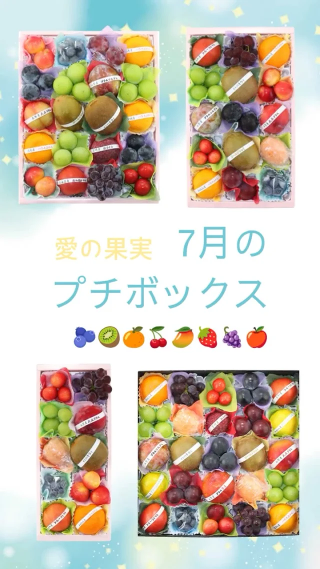 一番人気のプチボックスです🥭🫐🍒🥝
    フルーツアドバイザーが目利きして選び抜いた果物を少しずつお詰めしております
    贈り物にはもちろんご自宅で旬のフルーツをお楽しみいただくにもおすすめです🍅🍇🍎
    お店へはプロフィールのリンクからどうぞ♪
    @aino.kajitu
    #ブルーベリー
    #ぶどう
    #シャインマスカット
    #さくらんぼ
    #トマト
    #プラム
    #みかん
    #キウイ
    #ライチ
    #チェリー
    #果物
    #フルーツ
    #旬のフルーツ
    #果物好きな人と繋がりたい
    #フルーツギフト
    #愛の果実
    #高級フルーツ