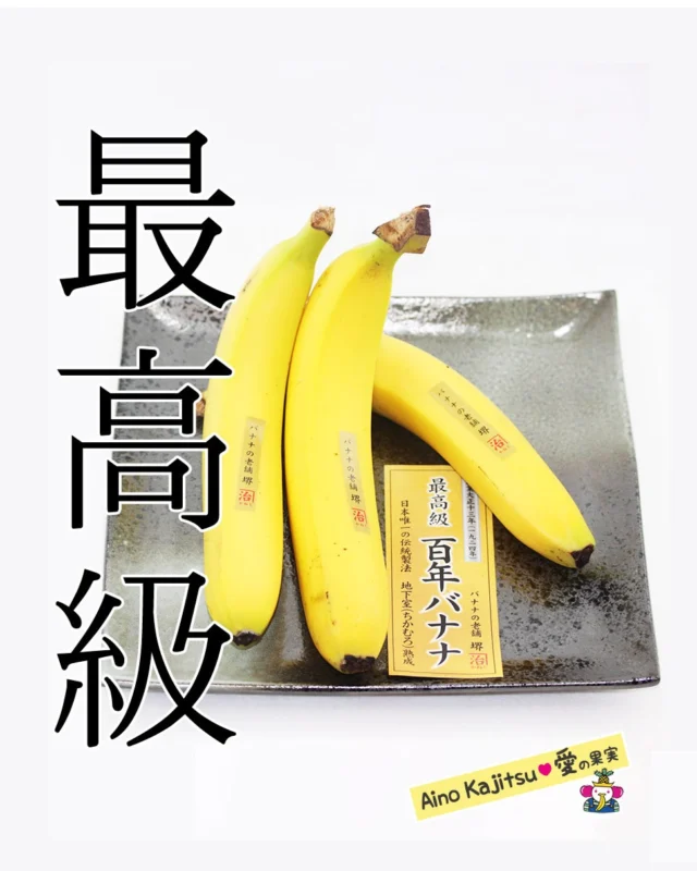バナナはお好きですか🍌
    大好きな方きっと多いですよね🍌🍌🍌
    愛の果実の実店舗アオイ農園のある大阪府和泉市。
    そのお隣の堺市は１世帯あたりのバナナ購入量がなんと全国一🍌🚩
    バナナ好きさんの多い堺市には一味違う最高級バナナ🍌があるのをご存知ですか？
    その名は「百年バナナ」🍌
    南米エクアドルから輸入して地下約３メートルにある八つの「地下室（むろ）」でじっくり追熟させた「百年バナナ」🍌
    地下室での追熟は昔ながらの方法ですが大変な手間がかかり体力も必要で
    現在ではすっかり少なくなったとか。
    ですが手間暇かけて大事に追熟された
    百年バナナの甘さとコクそしてもっちり食感。
    他のバナナとは一味違います。
    バナナ好きさんはぜひぜひ味わってみてください🍌
    お店へはプロフィールのリンクからどうぞ🎶
    @aino.kajitu
    #バナナ
    #banana
    #百年バナナ
    #100年バナナ
    #fruit
    #フルーツ大好き
    #お取り寄せフルーツ
    #手土産
    #プレゼント
    #贈り物
    #フルーツギフト
    #季節の果物
    #fruitlover
    #果物
    #フルーツ
    #愛の果実