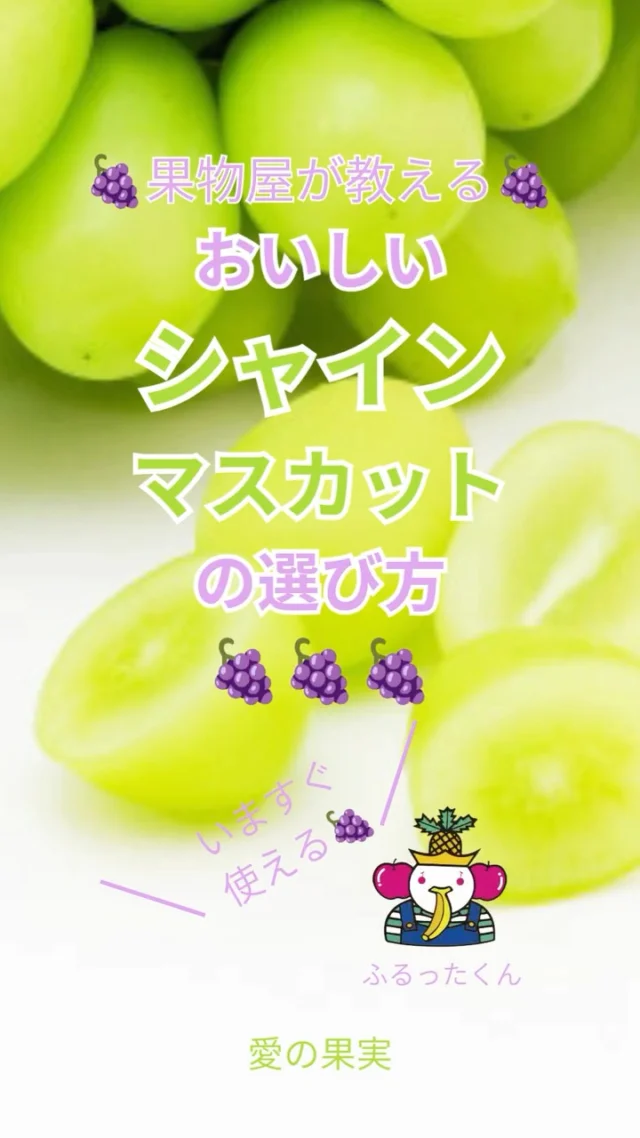 果物屋が教える🍇✨
    おいしいシャインマスカットを見分けるポイント3選！
    ①ハリがある
    →ハリやツヤがあるものは果汁たっぷり✨
    ②白い粉がついている
    →多くついているほど新鮮！
    ③色に注目
    →緑色に近いものは食感と香りがよくて
    黄色に近いと甘みが強い♪
    シャインマスカットは追熟しないのでお買い物の際の目利きが重要です🔍
    保存して、お買い物の時にぜひ参考にしてくださいね😊
    🍃パリッと弾ける食感を楽しみたい派
    🍯口いっぱいに広がる濃厚な甘さ重視派
    同じシャインマスカットでも、楽しみ方はいろいろ😊
    あなたはどっち派ですか？
    お店へはプロフィールのリンクからどうぞ♪
    @aino.kajitu
    #シャインマスカット
    #ぶどう好き
    #ぶどう好きな人と繋がりたい
    #フルーツ好き
    #果物好き
     #旬の果物
    #果物
    #フルーツ
    #果物好きな人と繋がりたい
    #フルーツギフト
    #愛の果実
    #高級フルーツ
    #果物の選び方
    #美味しい果物の見分け方