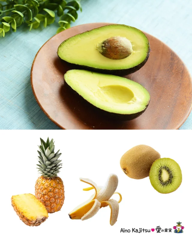 🥑夏の不調にもフルーツ・疲労回復編🍌🍍
    暑い日の疲労
    水分補給や
    熱中症対策
    どうせならフルーツでおいしく健康的に♪
    暑い地域の果物や夏が旬の果物は水分とカリウムが豊富で体にこもった熱を逃がして体を冷やす作用があります🌴
    少しお疲れの方におすすめするフルーツはこちら！
    🍍パイナップル🍍
    消化酵素ブロメラインが疲れた胃腸のサポートに
    腸内環境を整える食物繊維が豊富
    🍌バナナ🍌
    睡眠やメンタル不調のサポートをしてくれるトリプトファン含有
    睡眠の質向上には朝に食べるのがおすすめ
    🥑アボカド🥑
    エネルギー代謝を助ける働きのあるビタミンB群が豊富
    疲労回復にもぴったり
    🥝キウイ🥝
    果物の中でもトップクラスの「栄養素充足率」を誇る身近なスーパーフルーツ
    栄養素はなんと10種類
    取り過ぎには注意しておいしく召し上がってくださいね♪
    お店へはプロフィールのリンクからどうぞ♪
    @aino.kajitu
    #アボカド
    #パイナップル
    #バナナ
    #キウイ
    #果物
    #フルーツ
    #旬のフルーツ
    #果物好きな人と繋がりたい
    #フルーツギフト
    #愛の果実
    #高級フルーツ
    #夏のフルーツ
    #熱中症対策
    #夏バテ