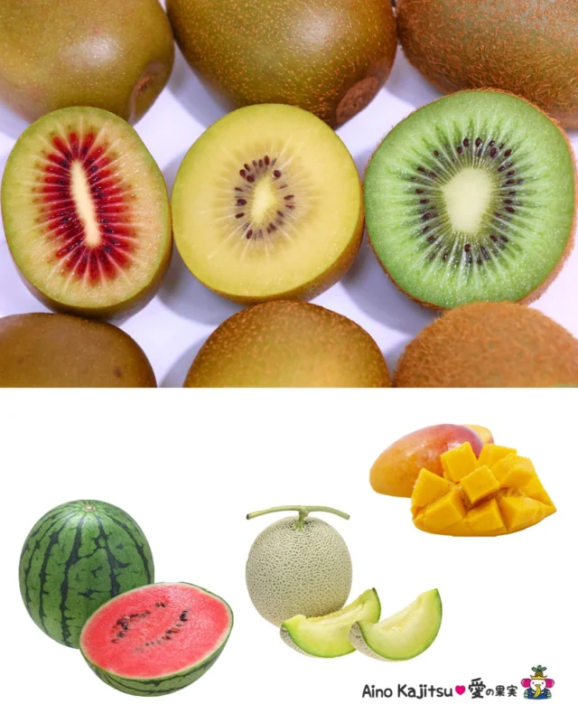 🥭🥝夏の不調にもフルーツ・美容も気になる編🍉🍈
    暑い日が続くとお肌にも疲れが出たり
    日焼けや乾燥も気になりますよね
    夏の美容もフルーツでおいしく健康的に♪
    夏のフルーツには美容にうれしい成分の入ったものがたくさんあります🥝
    暑い日もキレイでいたい方におすすめするフルーツはこちら！
    🍉スイカ🍉
    強力な抗酸化作用でアンチエイジングに
    期待できるリコピンがたっぷり
    紫外線による肌ダメージの予防、軽減にも
    🍈メロン🍈
    免疫力を高めるとともにコラーゲンの生成を促すビタミンCが豊富
    疲労回復にも
    🥭マンゴー🥭
    βカロテンによる皮膚や目の健康維持
    抗酸化作用によるアンチエイジングに貢献
    免疫力アップや美肌づくりにも
    🥝キウイ🥝
    疲労回復でもご紹介しましたがビタミンC、ビタミンE、食物繊維に各種ミネラルと多くの栄養素を含んでいます
    毎日食べたいスーパーフルーツ
    また上記の4種は体内の余分な塩分を排出する働きのあるカリウムが含まれていますので、むくみ改善にも効果が期待できます
    取り過ぎには注意して
    おいしく召し上がってくださいね♪
    お店へはプロフィールのリンクからどうぞ♪
    @aino.kajitu
    #すいか
    #メロン
    #マンゴー
    #キウイ
    #果物
    #フルーツ
    #旬のフルーツ
    #果物好きな人と繋がりたい
    #フルーツギフト
    #愛の果実
    #高級フルーツ
    #すいか好き
    #夏のフルーツ
    #美肌
    #アンチエイジング