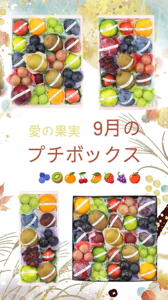 一番人気のプチボックスです🍇🍅🍊🥝
    フルーツアドバイザーが目利きして選び抜いた果物を少しずつお詰めしております
    贈り物にはもちろんご自宅で旬のフルーツをお楽しみいただくにもおすすめです🍅🍊
    お店へはプロフィールのリンクからどうぞ♪
    @aino.kajitu
    #プルーン
    #ぶどう
    #シャインマスカット
    #トマト　
    #プラム
    #みかん
    #キウイ
    #ブルーベリー
    #果物
    #フルーツ
    #旬のフルーツ
    #果物好きな人と繋がりたい
    #フルーツギフト
    #愛の果実
    #高級フルーツ