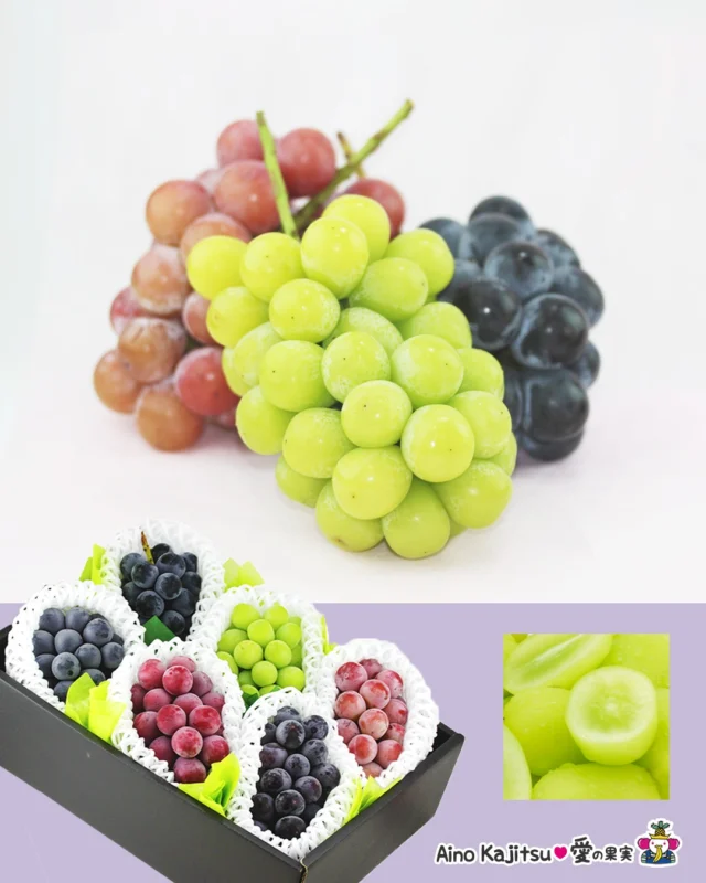 🍇「ぶどう」と「ブドウ糖」って、実は深い関係があるんです🍇
    「ブドウ糖」という名前、
    なぜ“ブドウ”なのかご存知ですか？
    実はブドウ糖（グルコース）はその名の通り「ぶどう」に由来しています🍇
    ぶどうの果汁からこの糖が見つかったことから、「ブドウ糖」と呼ばれるようになったといわれています。
    そしてブドウ糖は、私たちの体にとって大切なエネルギー源⚡️
    特に脳にとって重要なエネルギー源になります🧠✨
    ちなみに、ぶどうにはブドウ糖だけでなく果糖やショ糖などの糖が含まれていて、甘さを感じるのもそのおかげ♪
    さらに、ぶどうには
    💜 ポリフェノール
    💚 カリウム
    ✨ ビタミン類
    なども含まれています。
    甘くておいしいだけじゃない、ぶどうの魅力🍇
    ぶどうを食べる際にはちょっと思い出してみてくださいね😊
    お店へはプロフィールのリンクからどうぞ🎶
    @aino.kajitu
    #ぶどう #ブドウ糖 #葡萄 #ぶどう好き #果物の豆知識 #フルーツの豆知識 #旬の果物 #果物 #食育 #フルーツ好き #果物好き #旬の果物 #果物 #フルーツ #果物好きな人と繋がりたい #フルーツギフト #愛の果実 #高級フルーツ