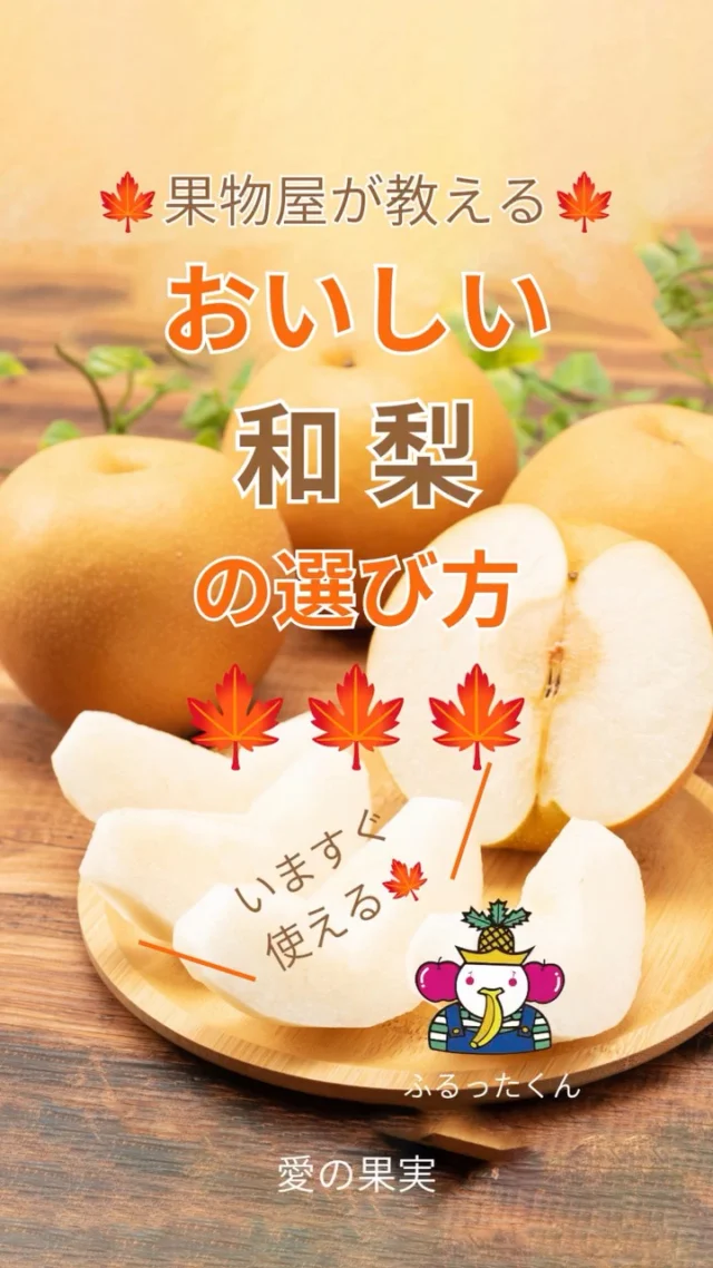 ✨果物屋が教える🍐🍁
    おいしい梨（和梨）を見分けるポイント3選！
    ① 色をチェック✨
    青梨：完熟が近づくにつれて、黄色っぽくなってきます♪
    赤梨：適度に赤みがかったものが完熟のサイン
    ② ずっしりと重みがある✨
    同じくらいの大きさなら、持ったときにずっしり重いものがおすすめ
    果汁をたっぷり含んでいて、みずみずしい梨の目安です♪
    ③ 軸がしっかりしている🌿
    軸が太く、しっかりしているものは鮮度の目安
    軸がみずみずしく、枯れていないものを選ぶのがおすすめです♪
    🍐梨は「色・重さ・軸」をチェック！
    この3つを覚えておけば、お買い物のときにも役立ちます✨
    📌ぜひ保存して、おいしい梨選びの参考にしてください😊
    あなたはどの梨が好きですか？🍐
    🍐幸水　💚豊水　🤍あきづき　🍐新高 など…
    お店へはプロフィールのリンクからどうぞ♪
    @aino.kajitu
    #梨 #幸水 #豊水 #あきづき #新高 #旬の果物 #果物 #フルーツ #果物好きな人と繋がりたい #フルーツ好き #フルーツギフト #愛の果実 #高級フルーツ #果物の選び方 #美味しい果物の見分け方 #季節のフルーツ
