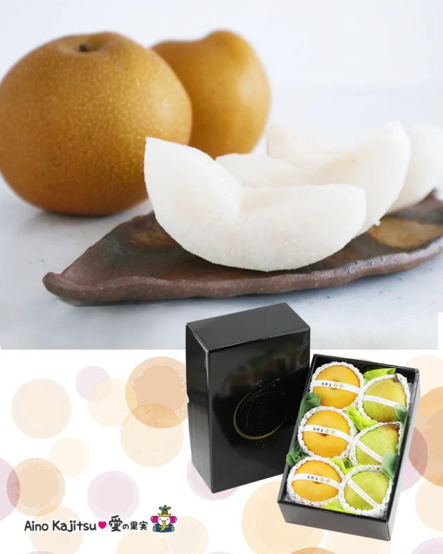 梨のシャリシャリは○○○のおかげ？🍐
    梨を食べたときに感じるあの「シャリシャリ」「ザラザラ」した食感。
    実はこれ、「石細胞（せきさいぼう）」という梨特有の細胞が関係しています👀
    石細胞とは、リグニン、セルロース、シリカなどが結晶化して硬く木に近い状態になったもののことで、野菜や果物の皮の部分に多く存在します。
    それが不思議なことに梨の場合は果肉に含まれていて、それが梨ならではのシャリッとした歯ごたえを生んでいます🍐✨
    なお、梨の果肉の中の石細胞の役割はよくわかっていないんだとか🤔
    とはいえ、あのザラザラ感は梨のおいしさのヒミツのひとつ！
    普段何気なく食べている果物にも、実は知らない秘密がいっぱい😊
    保存して、梨を食べるときにぜひ思い出してみてください♪
    あなたは梨の食感🍐
    「シャリシャリ派」？
    「なめらか派」？
    お店へはプロフィールのリンクからどうぞ♪
    @aino.kajitu
    #梨 #梨の豆知識 #旬の果物 #果物 #フルーツ #果物好きな人と繋がりたい #フルーツ好き #フルーツギフト #愛の果実 #高級フルーツ #季節のフルーツ